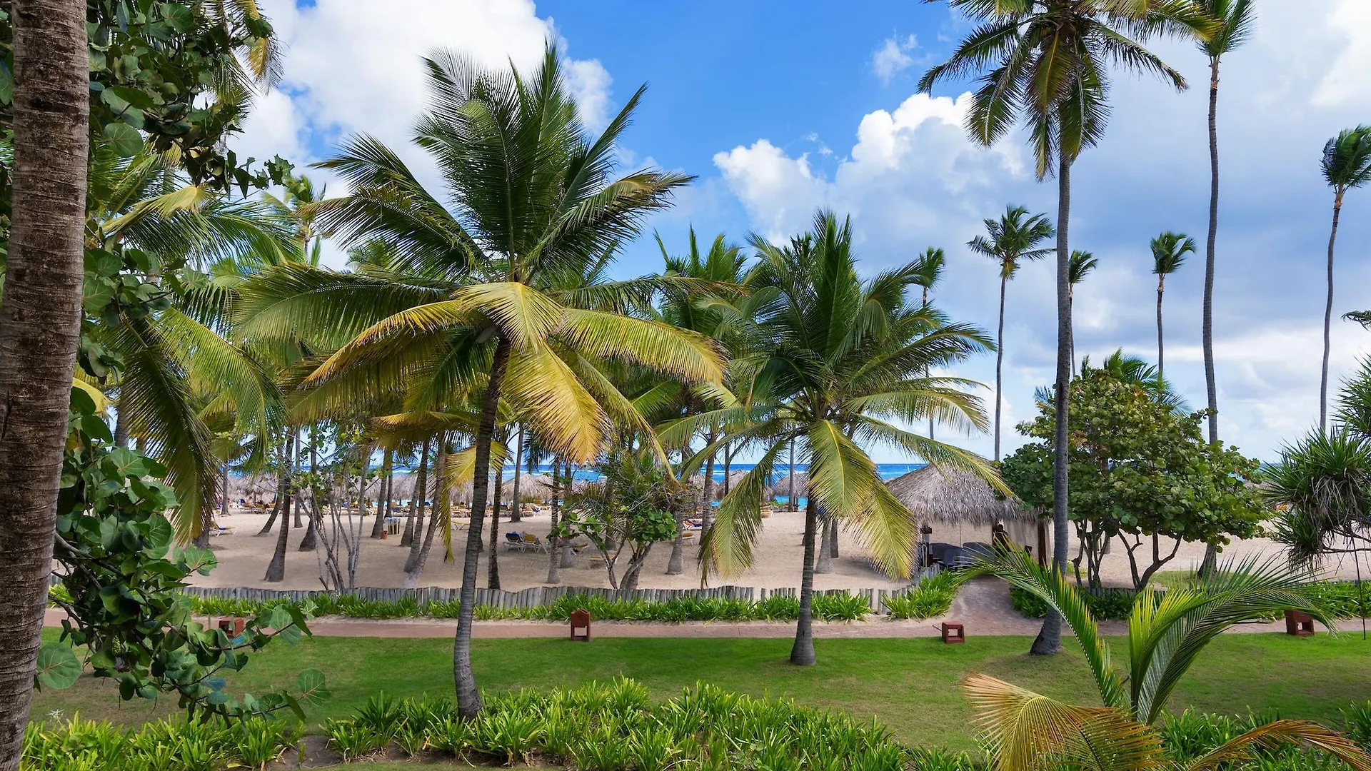 Iberostar Selection Coral Bavaro Punta Cana Rezort